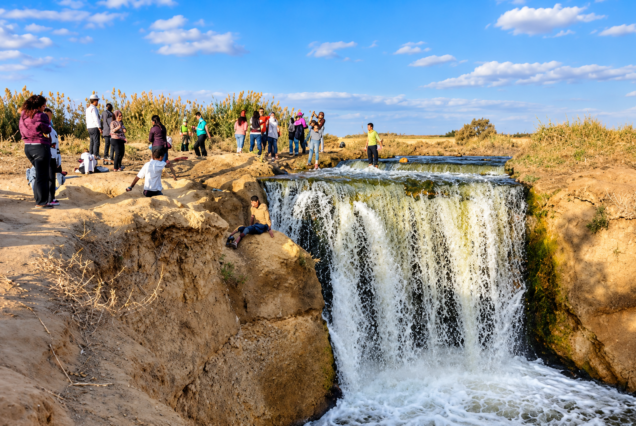 Private Fayoum Oasis Day Trip from Cairo